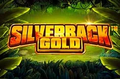 silverback gold